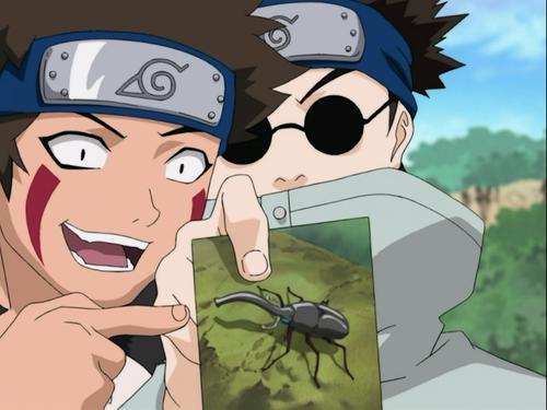 Tous les insectes se ressemblent