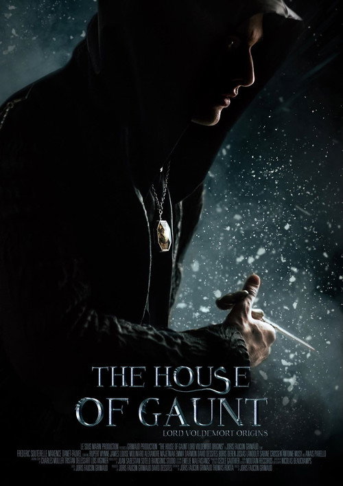 The House of Gaunt Lord Voldemort Origins movie poster player