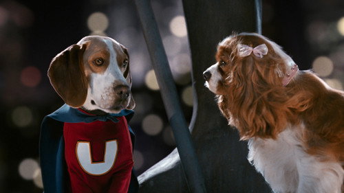 Image du film