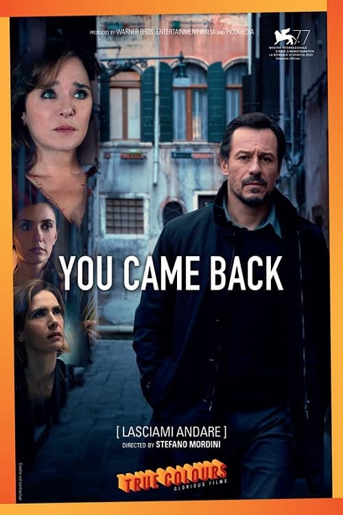 Poster do filme You Came Back