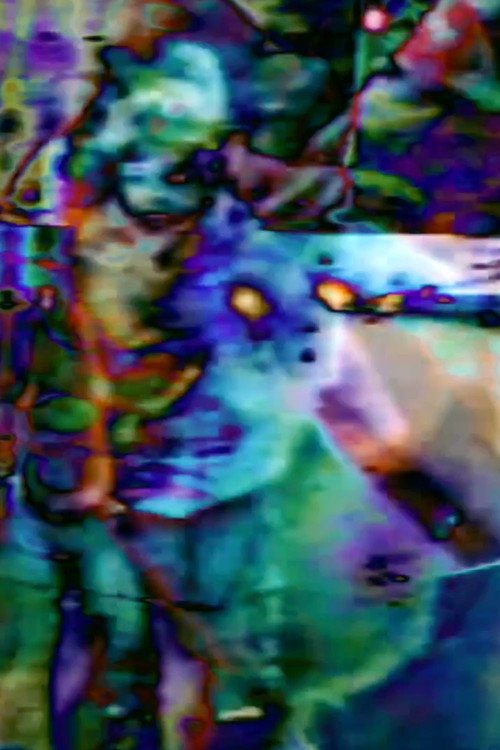 home movie