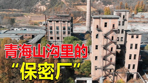 Episode 260