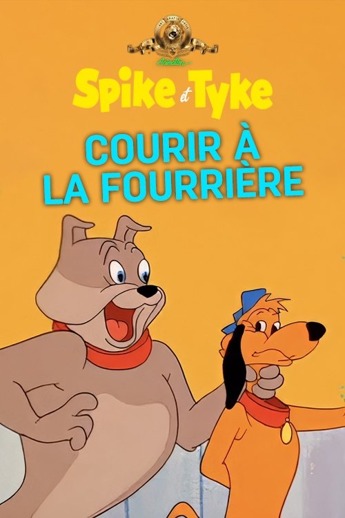 Courir à la Fourrière