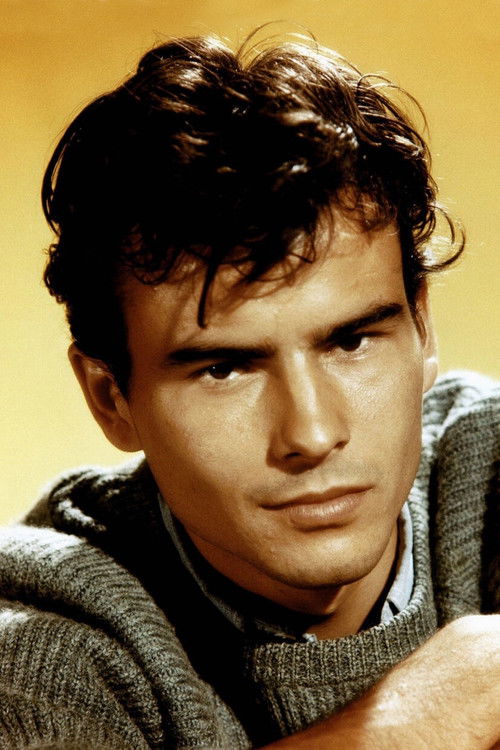 Kép: Horst Buchholz színész profilképe