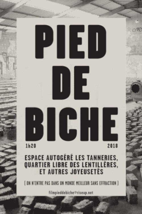 Pied de biche movie poster