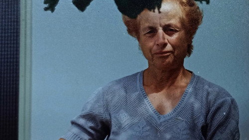 In the Land of Traumas