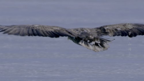 Épisode 7