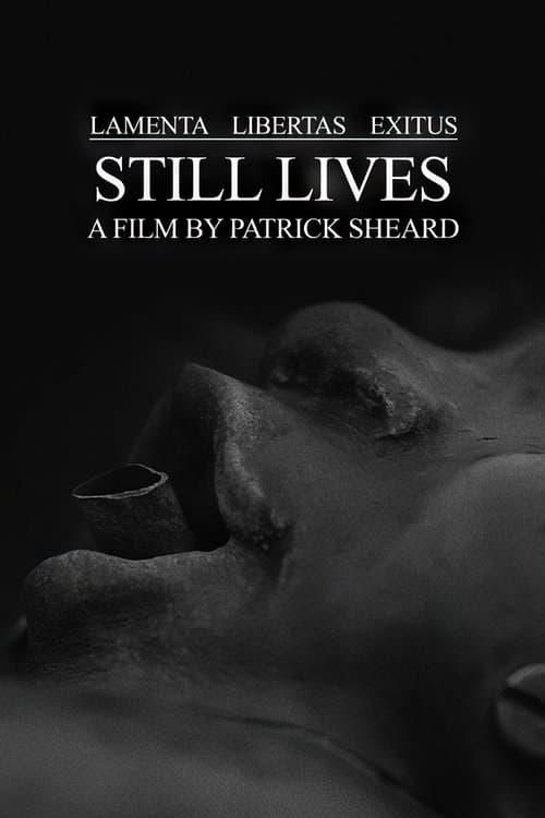 Still Lives (2016)