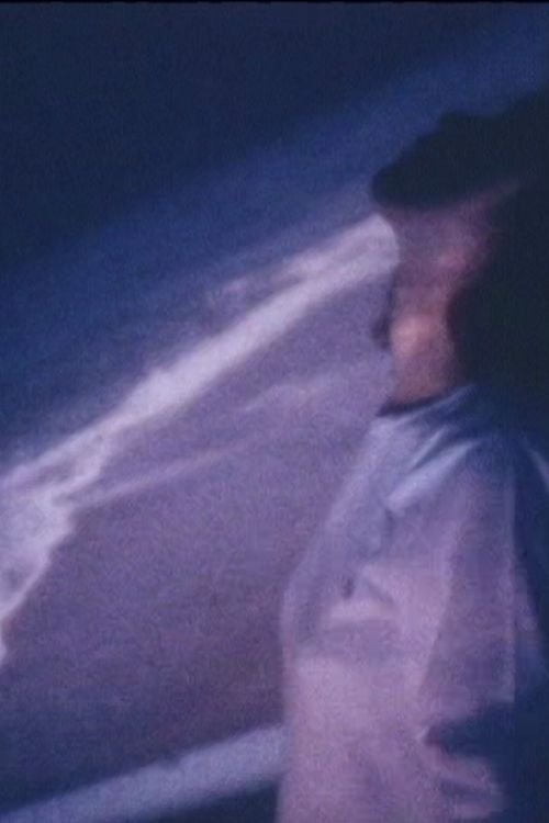 宝さがし (1991) poster