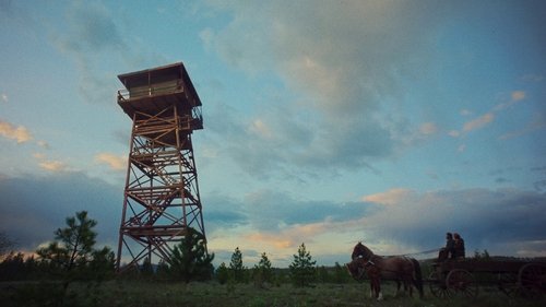 Train Dreams Movie Screenshot