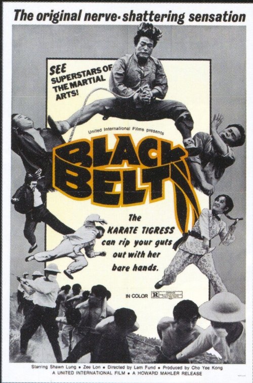 Black Belt 1973