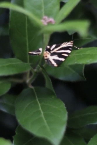 today, it’s raining poster