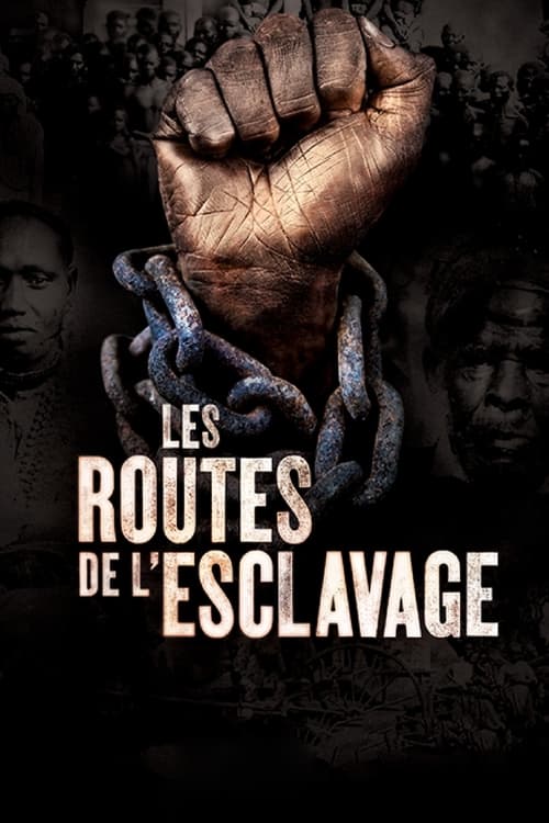 Where to stream Slavery Routes Season 1