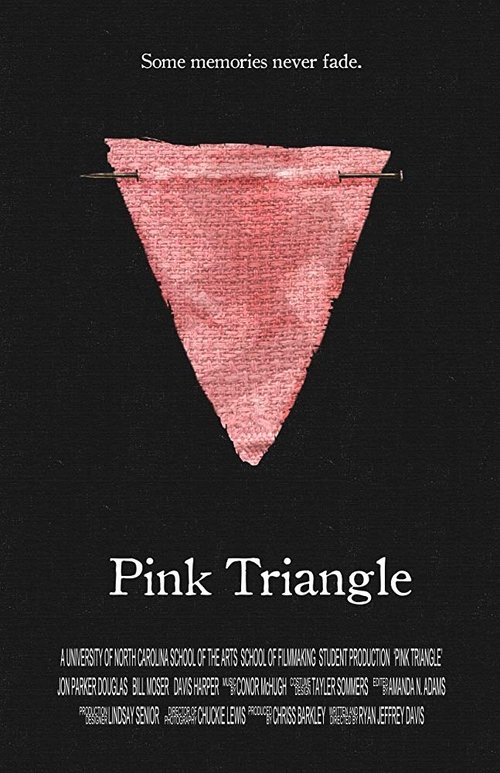 Pink Triangle movie poster player