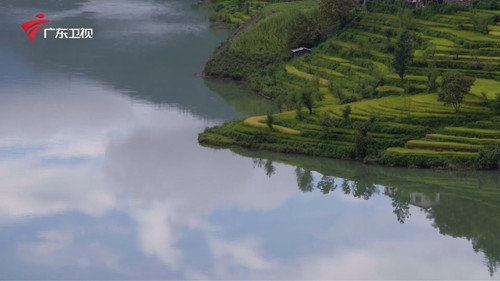秘境神草 Bild 6