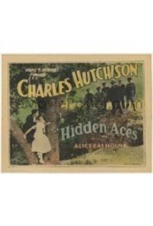 Hidden Aces movie poster player