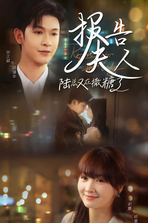 报告夫人陆总又在撒糖了 - DİZİ Afişi