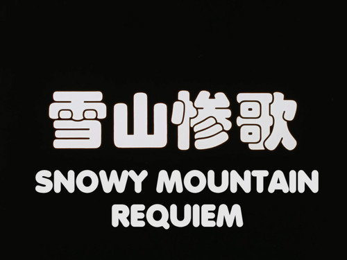 Snowy Mountain Requiem