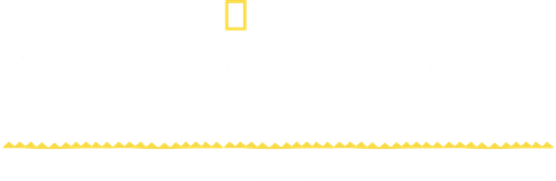 Mistérios da Antiguidade com Albert Lin: Tikal