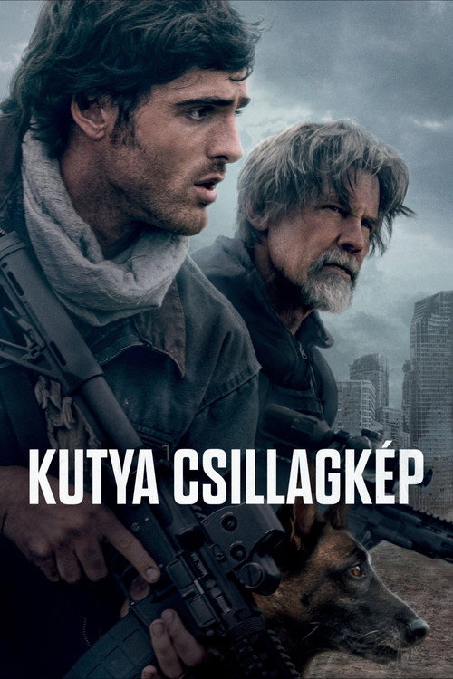 Kutya csillagkép