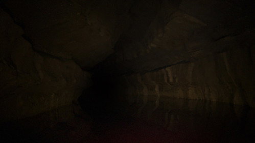 The Belly of the Beast