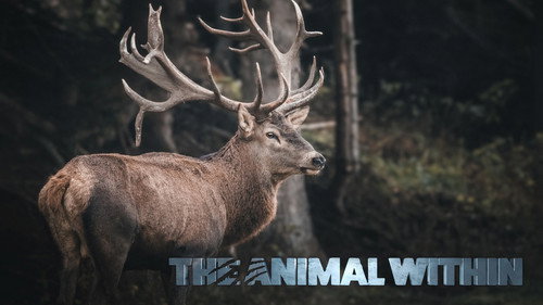 The Animal Within