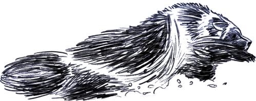 Logo Wandering Wolverine Productions