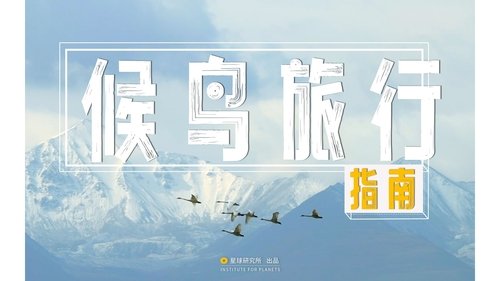 Image de l'épisode 8