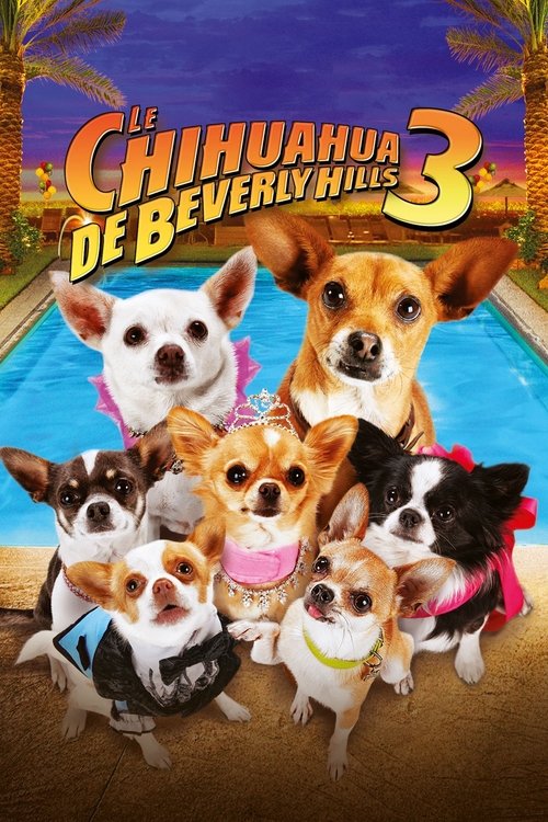 Poster image du film Le Chihuahua de Beverly Hills 3 : Viva la Fiesta ! Le Chihuahua de Beverly Hills 3 : Viva la Fiesta !