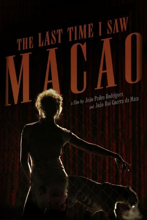 The Last Time I Saw Macao poster