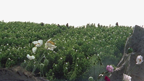 The Man with a Shotgun — still 11