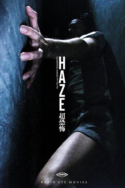 ヘイズ movie poster player