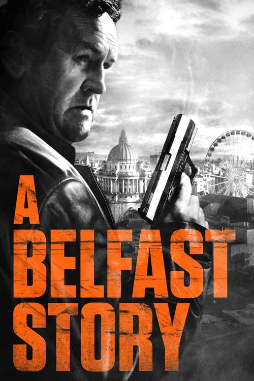 Grootschalige poster van A Belfast Story