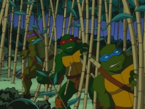 Poster della serie Teenage Mutant Ninja Turtles