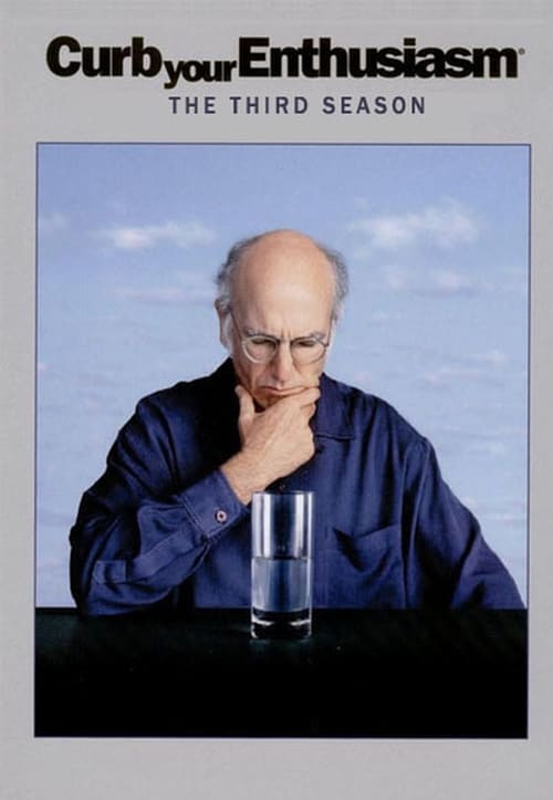 Where to stream Curb Your Enthusiasm Season 3