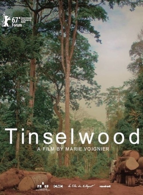 Tinselwood movie poster player