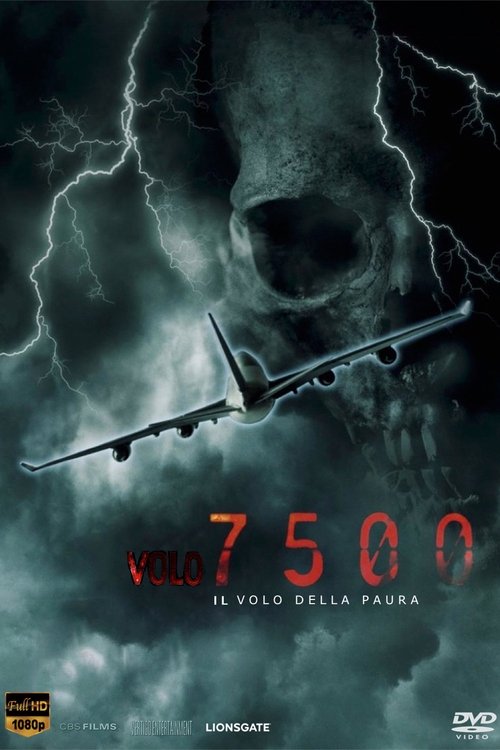 Flight 7500 poster