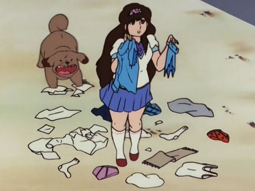 Gare au toutou jaloux