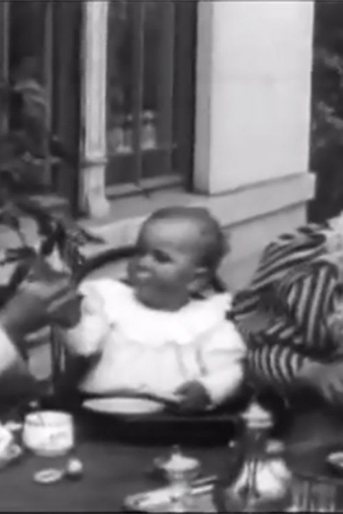 le déjeuner de bebe movie poster player