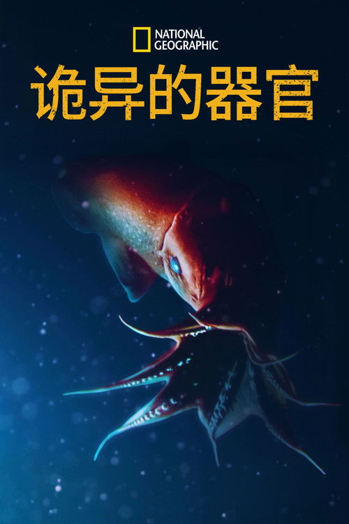 World's Weirdest: Extreme Body Parts poster