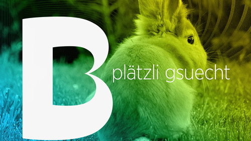 Plätzli Gsuecht Backdrop Blur