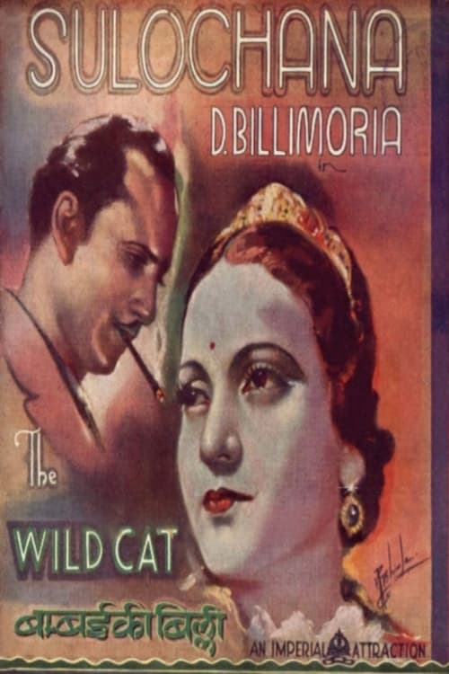 Wildcat of Bombay (1927) poster