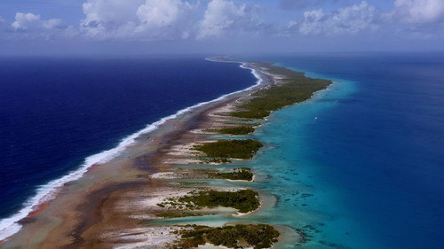 The Coral Oasis of the Tuamotu Backdrop Blur