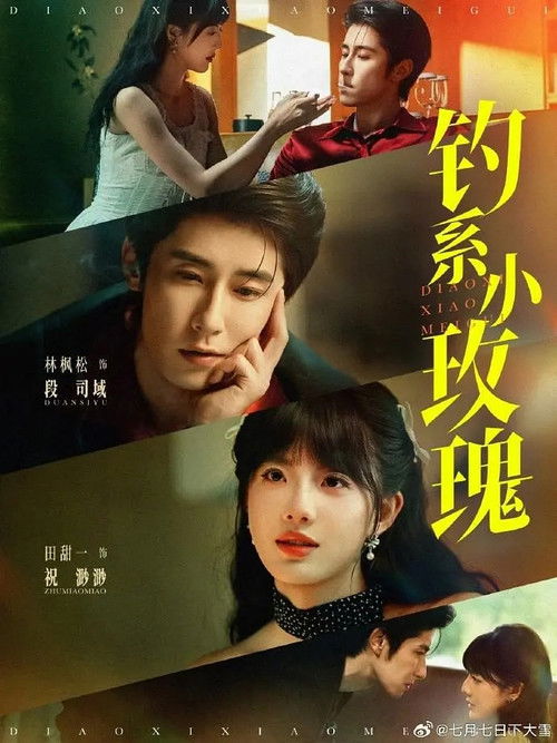 钓系小玫瑰 Poster