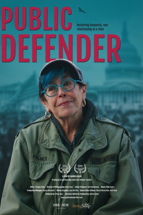 Poster image du film Public Defender Public Defender