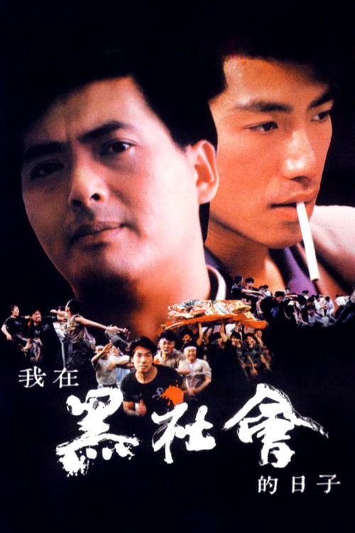 我在黑社会的日子