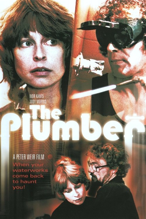 The Plumber poster