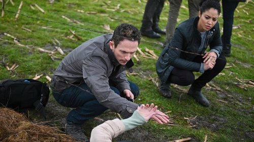 Debris: 1×1