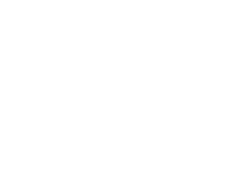The Perfect Picture: Ten Years Later | FlixBox