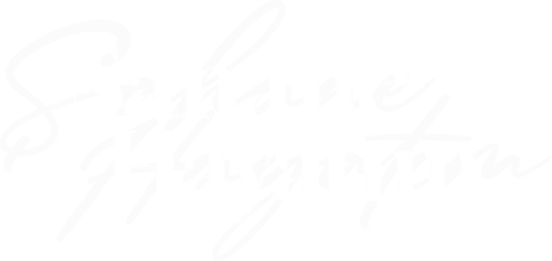 Şahane Hayatım logo